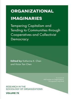 cover image of Organizational Imaginaries